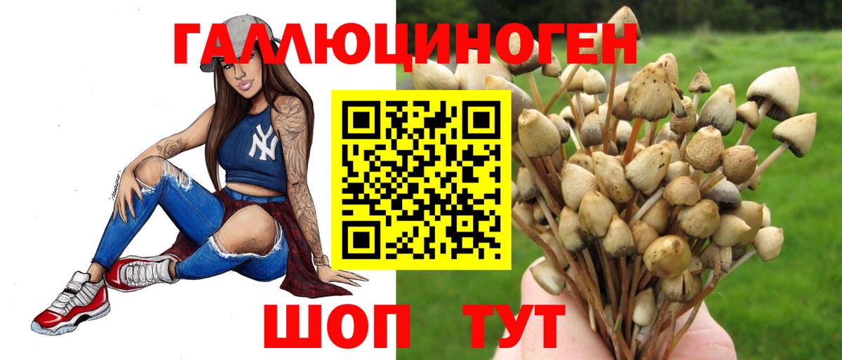Галлюциногенные грибы мицелий Кемерово