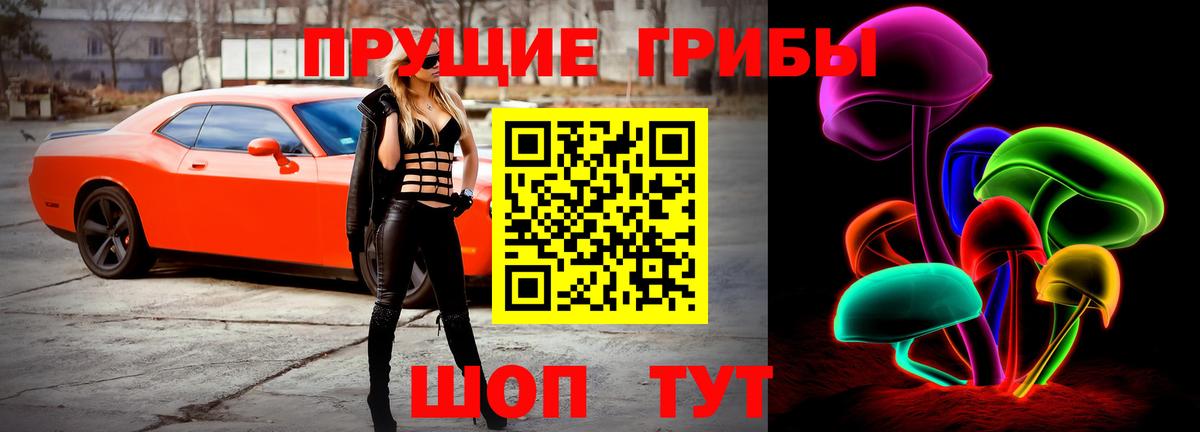 Псилоцибиновые грибы прущие грибы  Вход с VPN  Псилоцибиновые грибы Psilocybine cubensis  Кемерово 